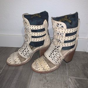 FREEBIRD BY STEVEN - Hawks